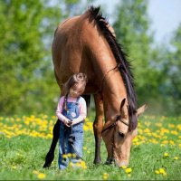 mjd (@majd0091) Twitter profile photo