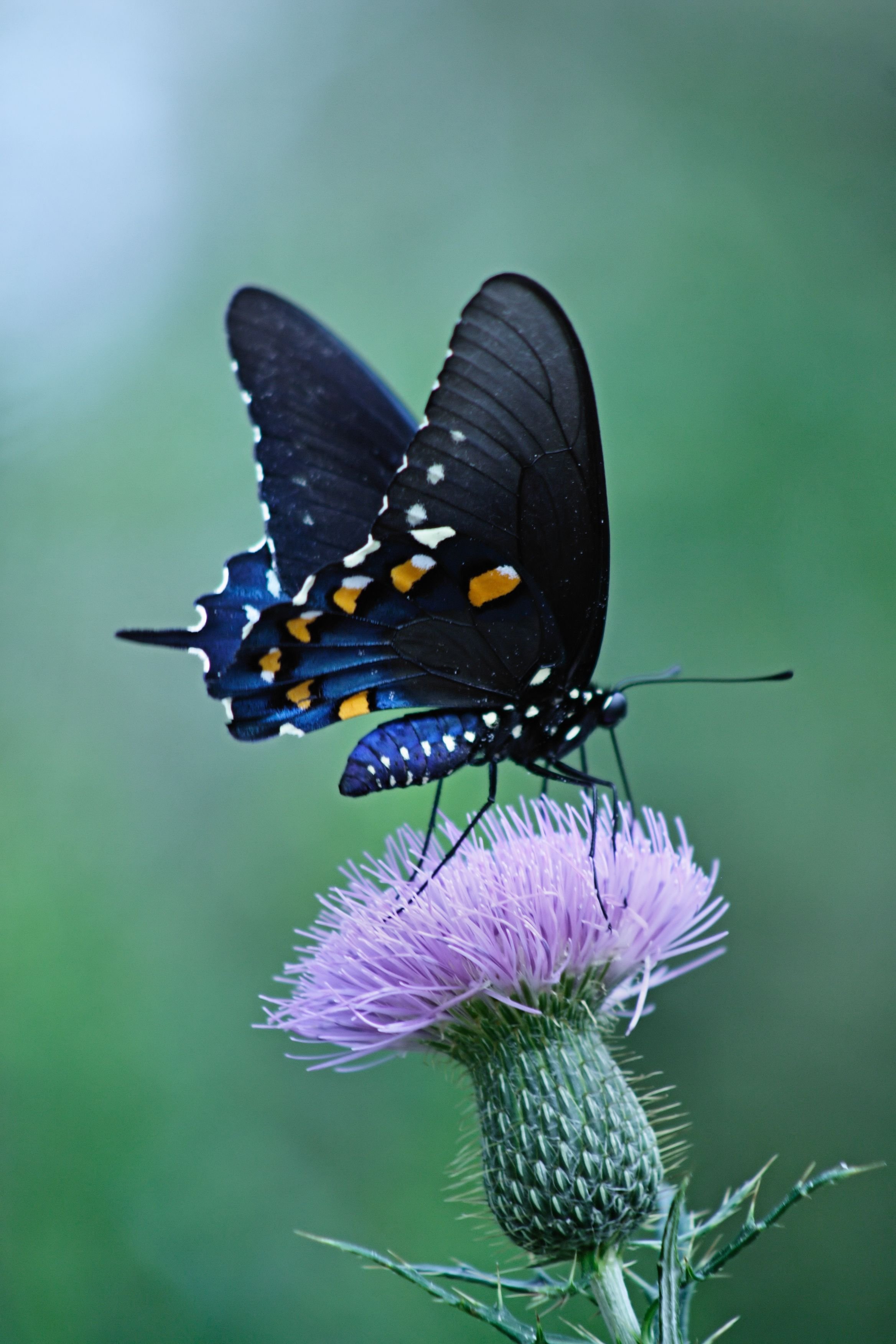 Infocus05500585's profile picture. Friendly. Love to meet new people.