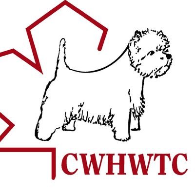 west highland white terrier club
