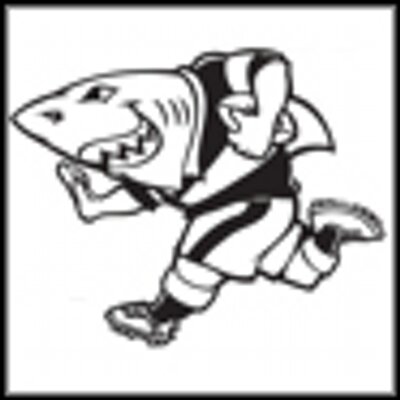 Sharks (Durban - South Africa)  Shark logo, Rugby logo, Rugby images