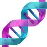 BowtellLab (@bowtelllab) 's Twitter Profile