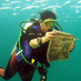 Underwater Times (@underwatertimes) Twitter profile photo Underwater Times (@underwatertimes) Twitter profile photo