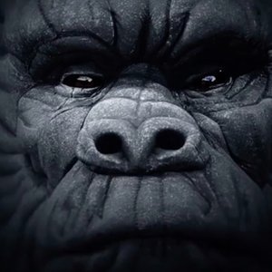 KONG75215218 Profile Picture