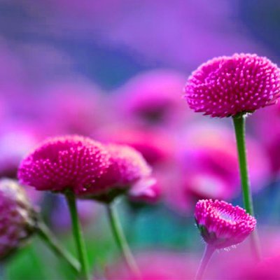 kokila96877320's profile picture. 