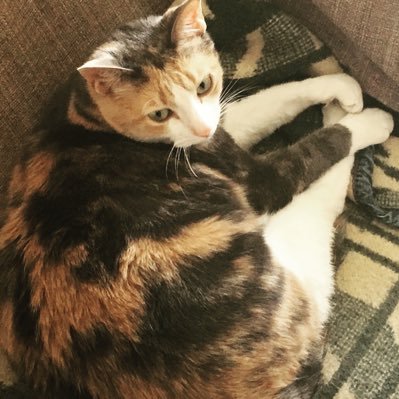 012Nei's profile picture. 