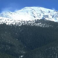 SillyFewl (@sillyfewl) 's Twitter Profile