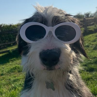 swift_phoebe's profile picture. idk either