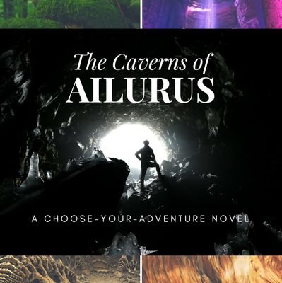 You're the adventurer, you're in control. #PickYourPath via #Ailurus tweets.
