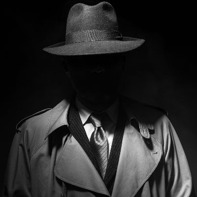Intelligence analyst | OSINT | HUMINT | Security specialist | Terrorism/counterterrorism expert | Humanitarian | Disaster Risk Manager | Security consultant |