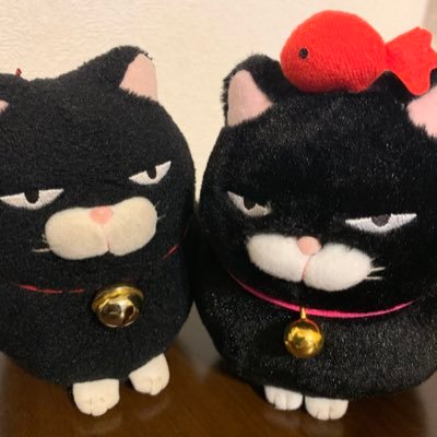 9625makonyan's profile picture. (ΦωΦ)フフフ… 吾輩らは猫である…にゃ。名前は、まこにゃん＆ぷうにゃんである…にゃ。ユル鉄食いしん坊ブラックバカ夫婦（大酒飲みぽんこつ奥ちゃま＆大甘党へんたい旦那ちゃま）の生態を、ジト目で生あたたかく見守るクロネコ旅猫夫婦なのである…にゃ(*ΦωΦ)