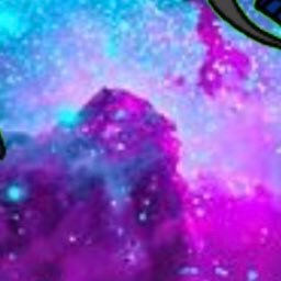 Lisa81614166's profile picture. 