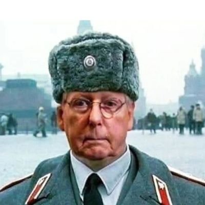 GOP Senate Majority Leader, World's fastest turtle and trumps servant and Vladimir Putin's favorite Senator.