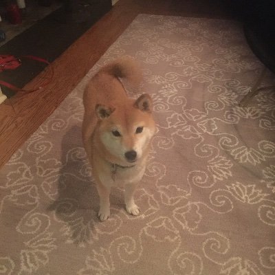witt_end's profile picture. 