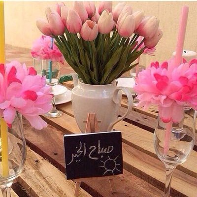 Zw2iK2LYdbk3aDQ's profile picture. no