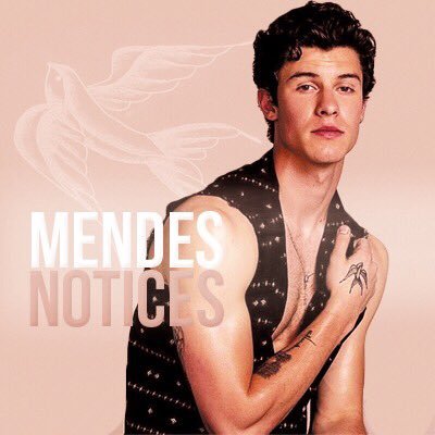 MendesNotices Profile Picture