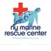 NY Marine Rescue Center (@nymarinerescue) Twitter profile photo NY Marine Rescue Center (@nymarinerescue) Twitter profile photo