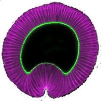 Adam Martin (@martinlabmit) 's Twitter Profile Photo Adam Martin (@martinlabmit) 's Twitter Profile Photo