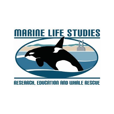 Marine Life Studies is a non-profit organization which is committed to protecting whales and dolphins and preserving the health and beauty of our oceans.