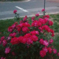 Matthew Jackson (@matthew52802818) 's Twitter Profile