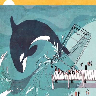 All the news about captive and wild orcas and dolphins