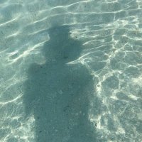 Monique LeBlanc (@patchworkhconc) 's Twitter Profile