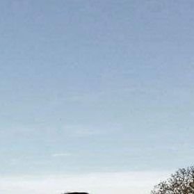 bhangal002's profile picture. hello world