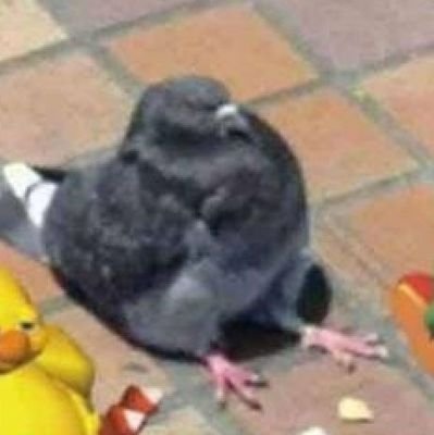 Brouter111's profile picture. 