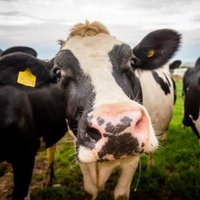 agri-space (@agri_space) 's Twitter Profile Photo agri-space (@agri_space) 's Twitter Profile Photo