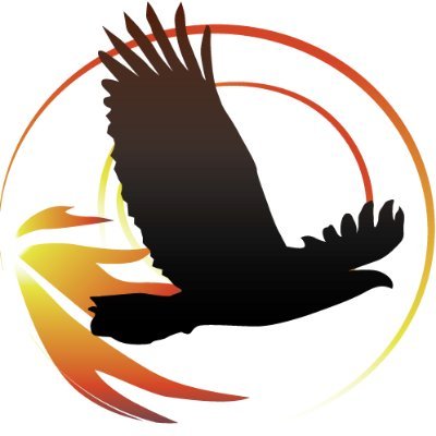 Spirit of the Sun is a non-profit organization empowering and uplifting Native American/Indigenous youth on reservations and in the Denver Metropolitan