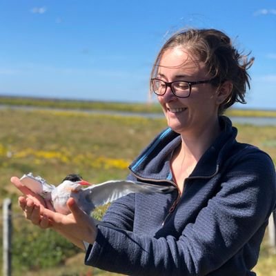 Seabird ecologist interested in biologging, migration and foraging behaviour  | Marine Science Officer @BirdLifeMarine working on #flyways