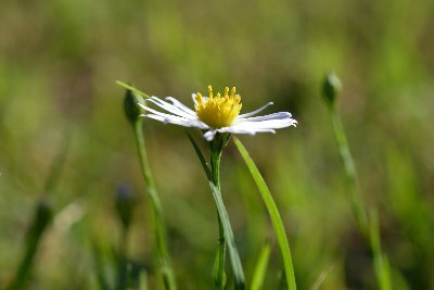 I'm a nature photographer. I love macro photography. I sell art work at https://t.co/mjuFBeA6kB I tweet my artwork often and retweet other people’s art as well.