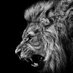 ã«ãºâ ïžðŠ (@neokazunex) Twitter profile photo ã«ãºâ ïžðŠ (@neokazunex) Twitter profile photo