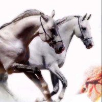 "سمــو"👑 (@oo4gg3) Twitter profile photo