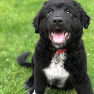 Niewiadomski12's profile picture. UWSP 2020 | UWSP Softball