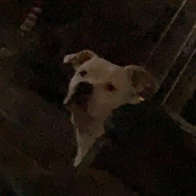 ashton39225727's profile picture. 