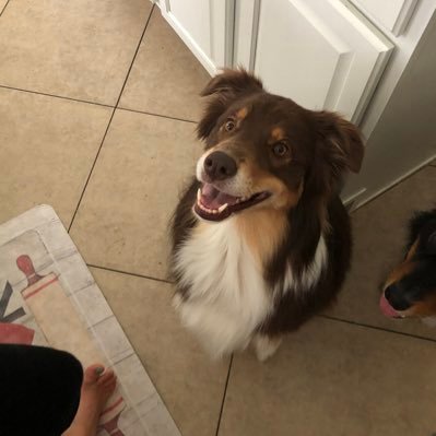 DeirdreToenjes's profile picture. 