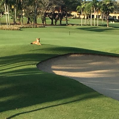 Golf course Superintendent GCSAA