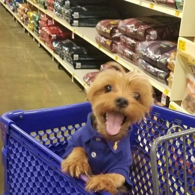 Servant of JESUS‼ Dog & Bird Mommy‼ Owner: There's No Place Like Home, LLC (Senior HealthCare Provider)📍Ga