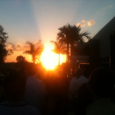 DMercuryFC's profile picture. 