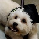 Carla Gallucci - @CarlaGallucci2 - Twitter