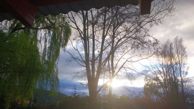 Feliper05855260's profile picture. descargar por ahora