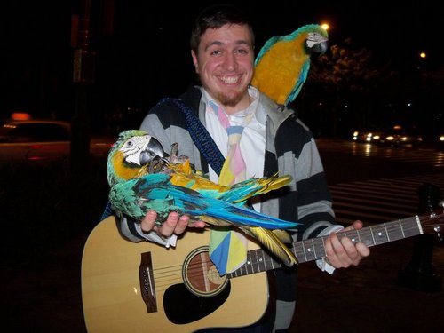 ylwelton's profile picture. 