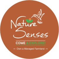 Nature Senses(@NatureSenses) 's Twitter Profile Photo