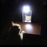 노동계 (@drr5di2frpmmbss) 's Twitter Profile
