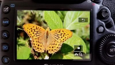 KeithWimbush2's profile picture. nothing soecial