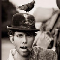 Ian Hanham photography (@ianhanhamphotos) 's Twitter Profile