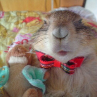 poohtapsy's profile image