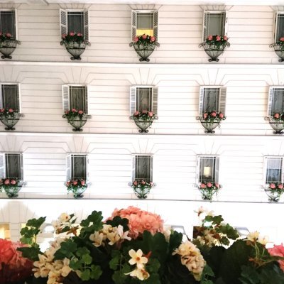 okeyprf's profile picture. 県の中の人。公僕にして猫僕です。福祉部から逃れたい（）

※ここのツイットは完全なる個人の見解やさかい、すまんな工藤※