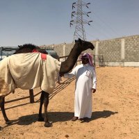 الشاعر :مترك الرجباني (@m_5o2i) 's Twitter Profile