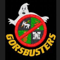 @GorsBusters(@gorsbusters) 's Twitter Profile Photo